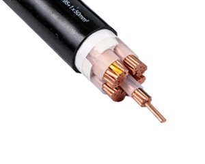 矿物电缆 防火特种电缆源头厂家YTTW