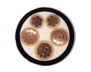 特种电线电缆生产厂家耐海水防腐蚀电缆